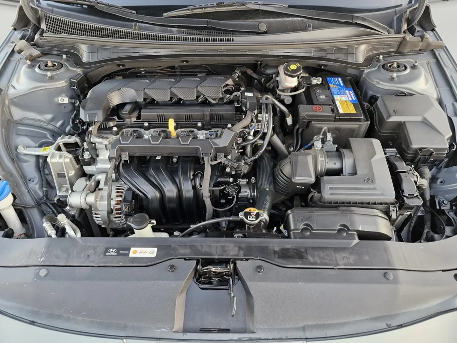 2024 Hyundai Elantra Fleet 