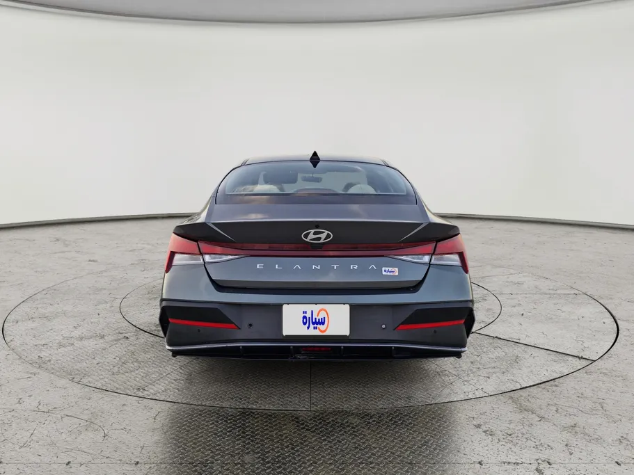 2024 Hyundai Elantra Fleet 
