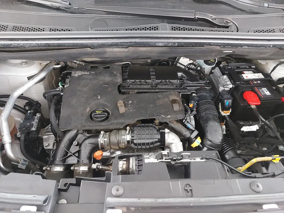 بيجو بارتنر Short van 2022 