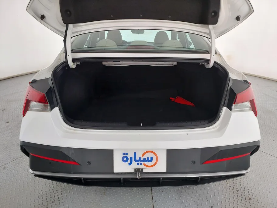 2024 Hyundai Elantra Fleet 