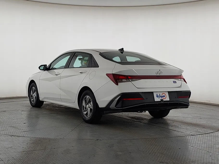 2024 Hyundai Elantra Fleet 