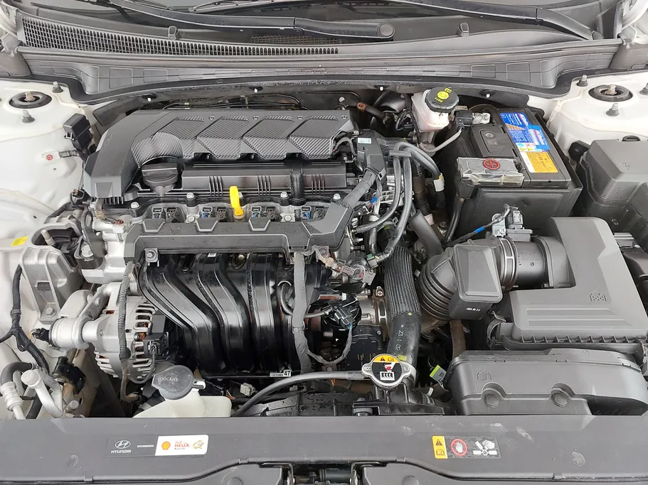 2024 Hyundai Elantra Fleet 