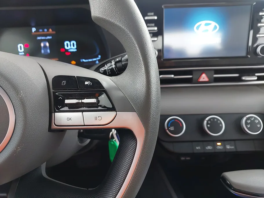 2024 Hyundai Elantra Fleet 