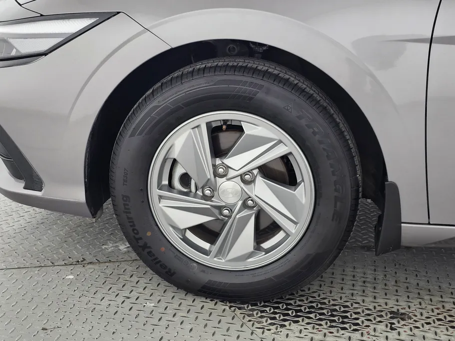 2024 Hyundai Elantra Fleet 