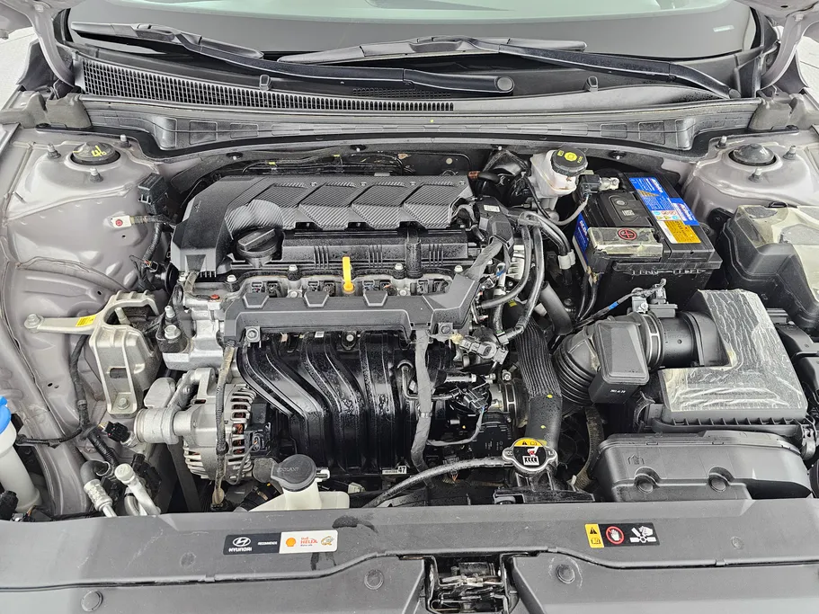 2024 Hyundai Elantra Fleet 