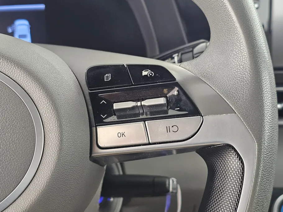 2024 Hyundai Elantra Fleet 