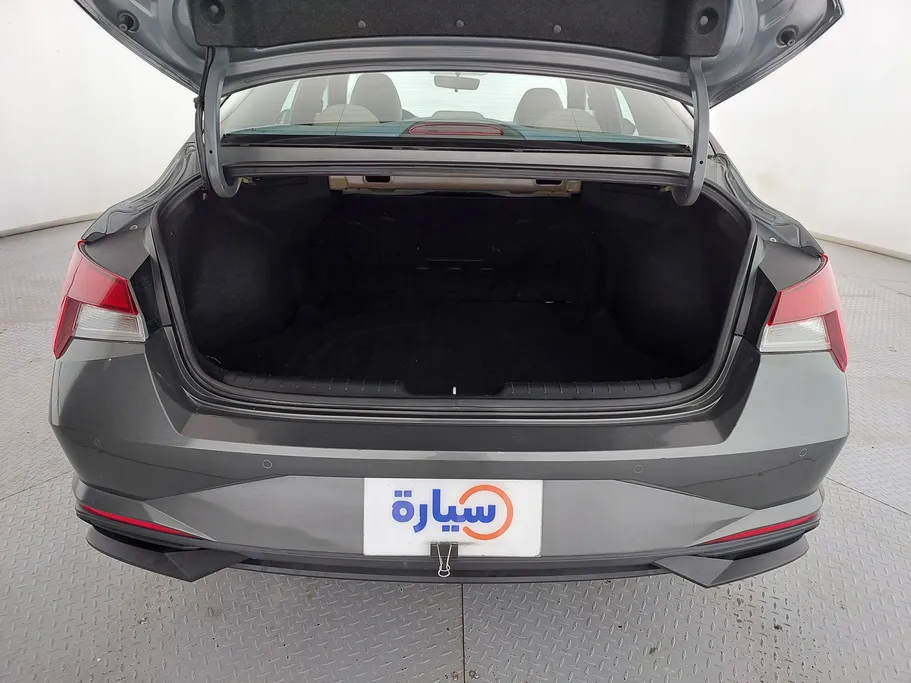 2023 Hyundai Elantra Fleet 