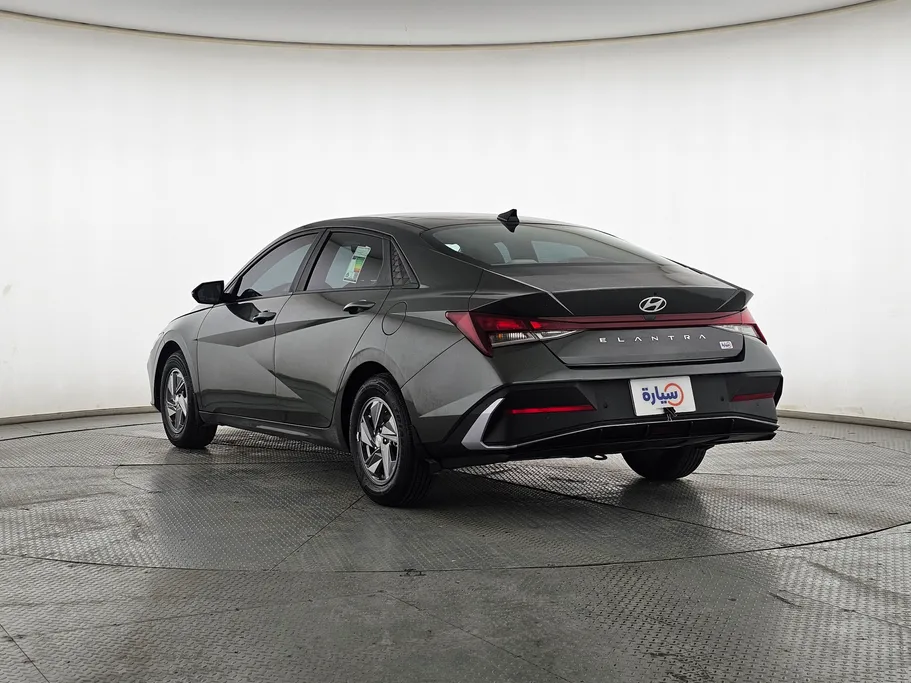 2024 Hyundai Elantra Fleet 