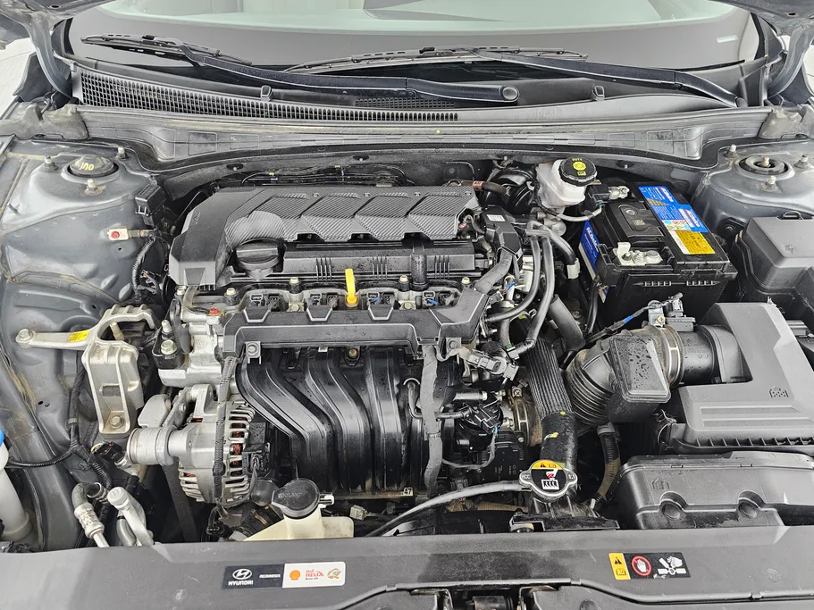 2024 Hyundai Elantra Fleet 