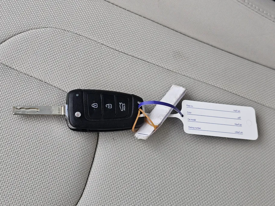 2024 Hyundai Elantra Fleet 