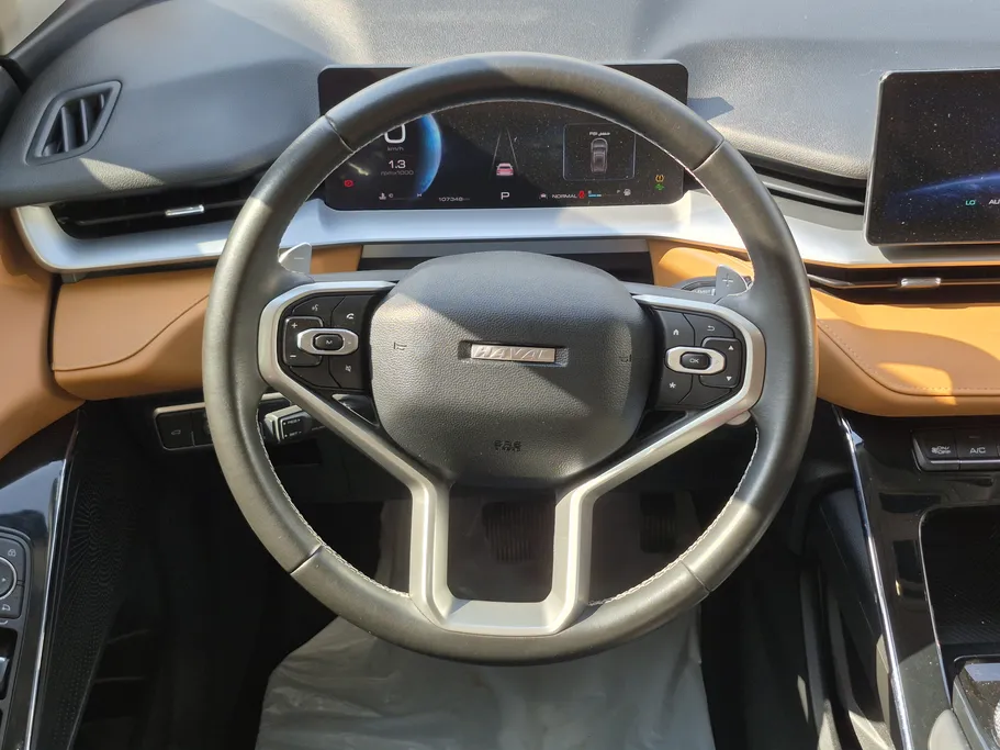 هافال H6 أكتف الإصدار الجديد 2023 