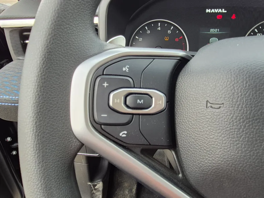 هافال جوليان بيسك 2025 