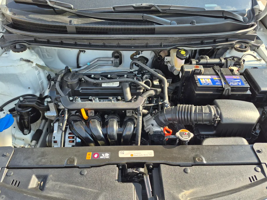 كيا بيجاس LX 2023 