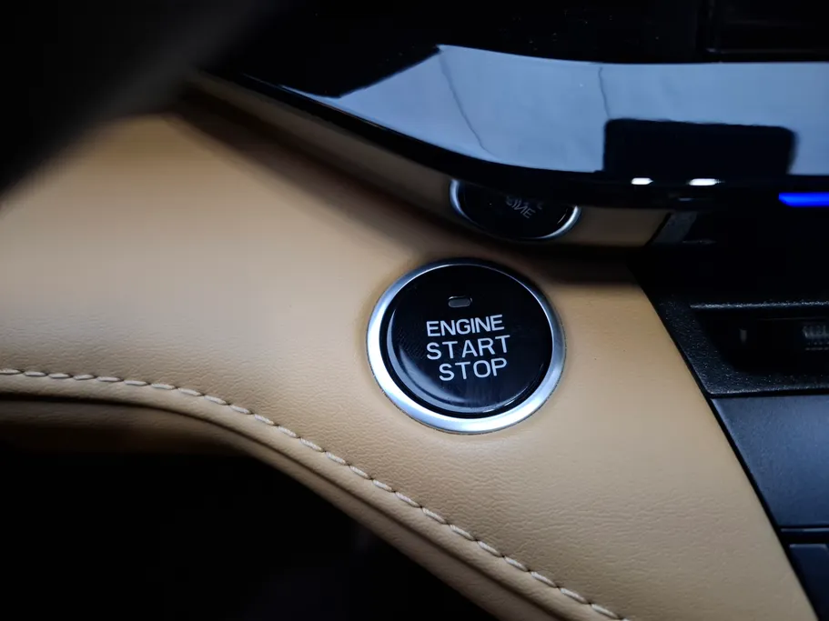 شانجان يوني في Elite 2024 