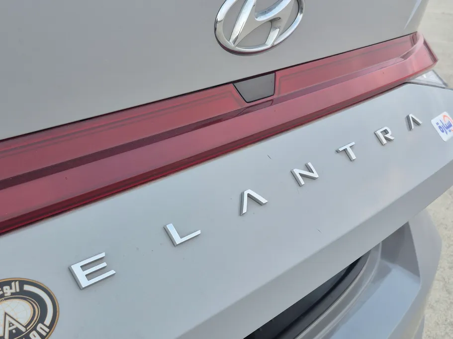 2023 Hyundai Elantra Fleet 