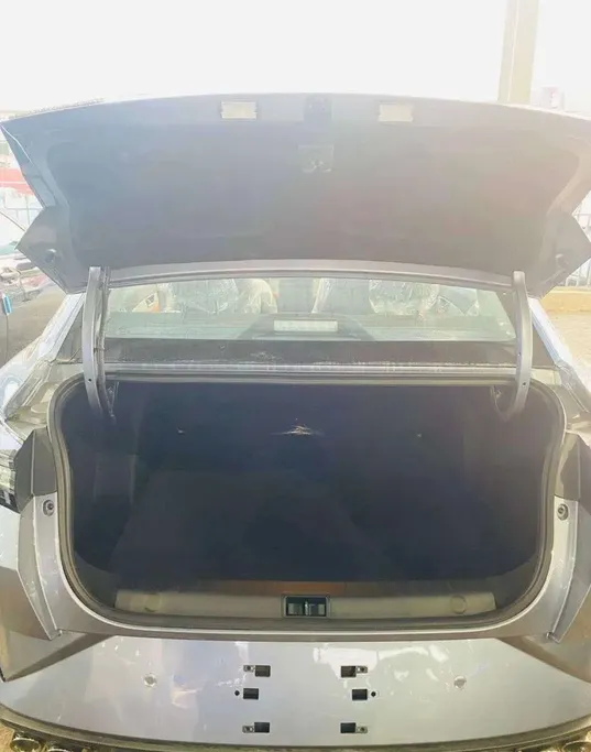 دونج فينج شاين E2 2026 