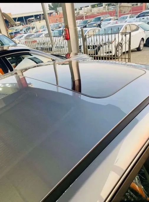 دونج فينج شاين E2 2026 