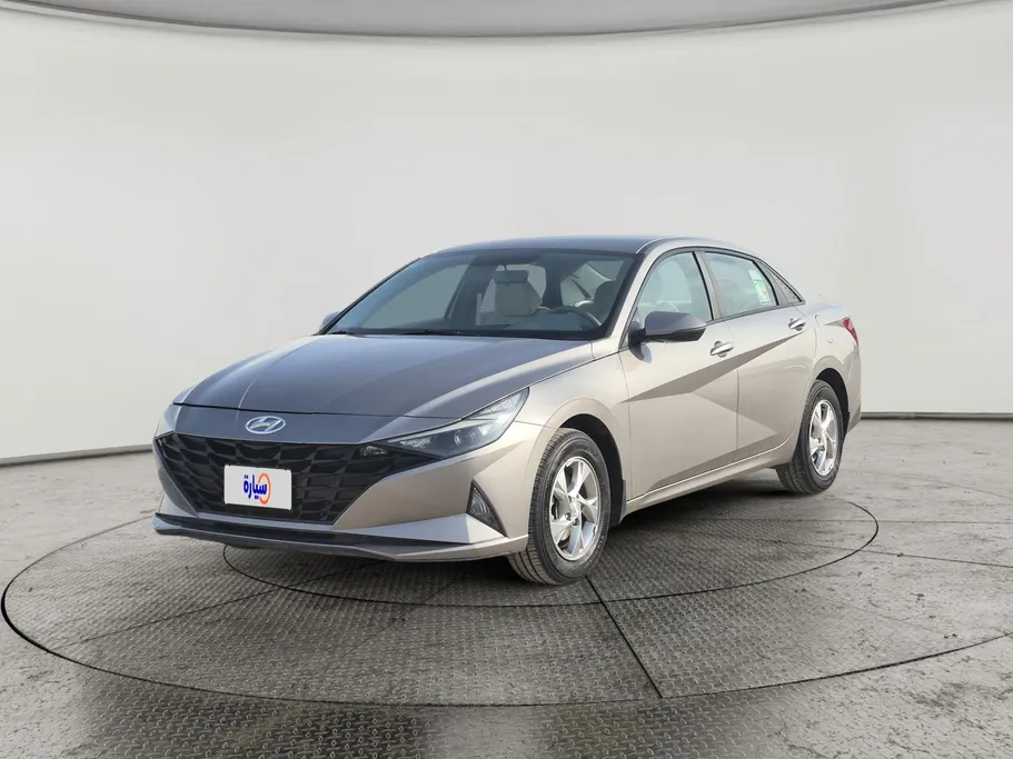 2021 Hyundai Elantra Fleet 