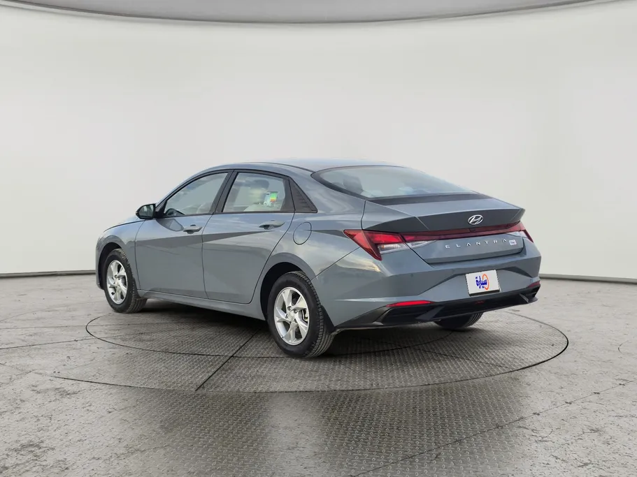 2021 Hyundai Elantra Fleet 