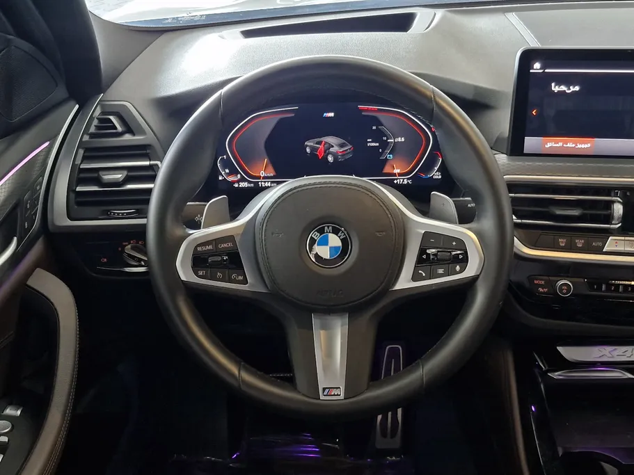 2025 BMW X Series 4 xDrive 30i 