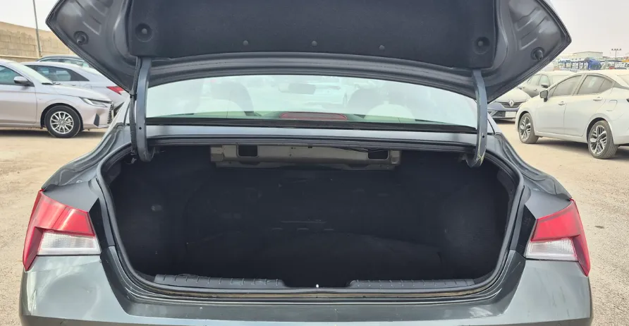 2023 Hyundai Elantra Fleet 