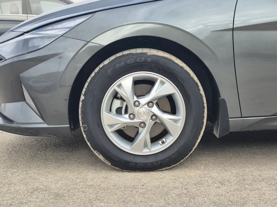 2023 Hyundai Elantra Fleet 