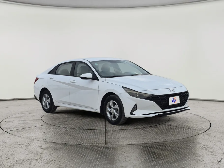 2021 Hyundai Elantra Fleet 