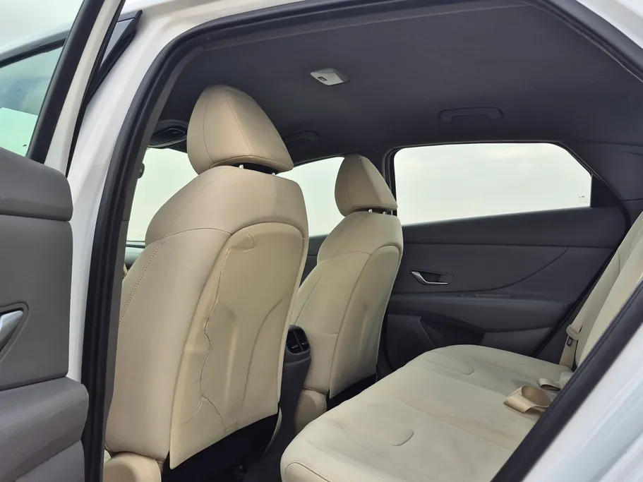 2021 Hyundai Elantra Fleet 