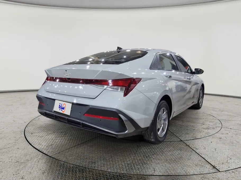 2024 Hyundai Elantra Fleet 