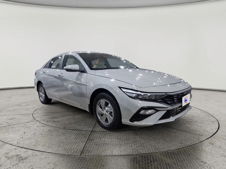 2024 Hyundai Elantra Fleet 