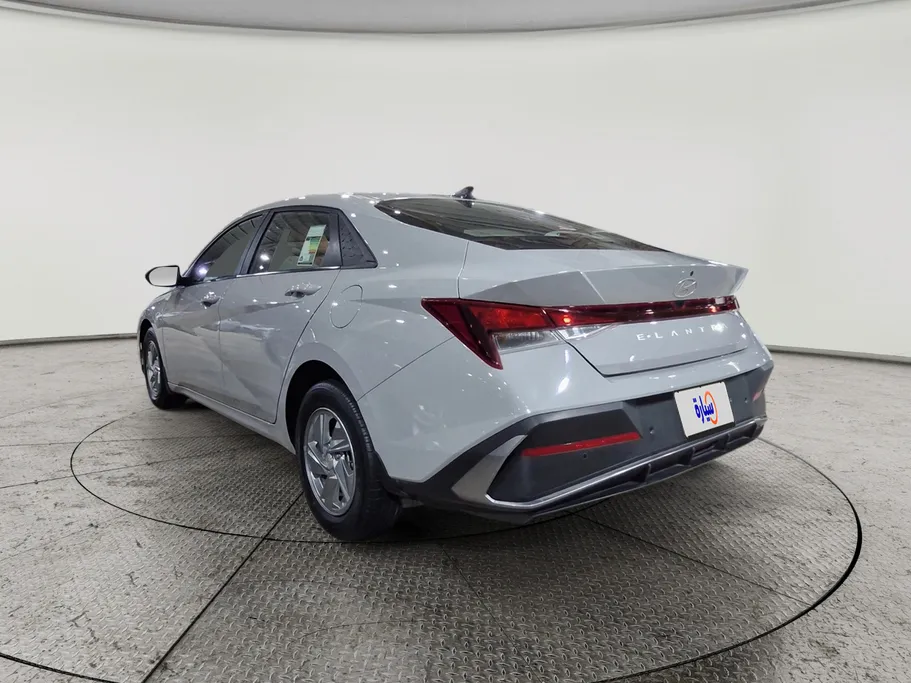 2024 Hyundai Elantra Fleet 