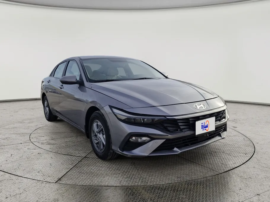 2024 Hyundai Elantra Fleet 