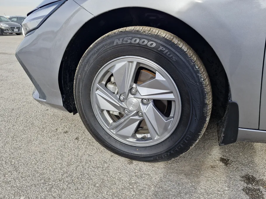 2024 Hyundai Elantra Fleet 