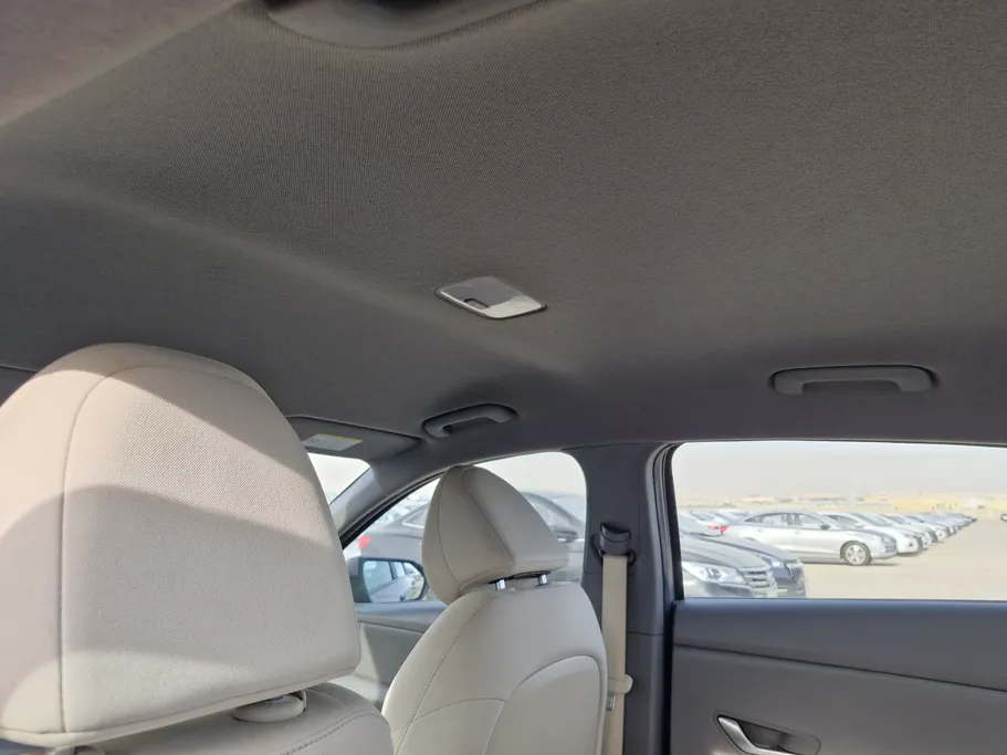 2024 Hyundai Elantra Fleet 