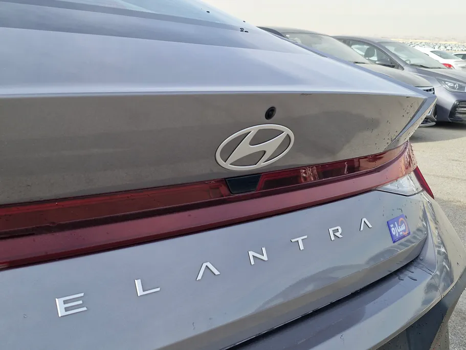 2024 Hyundai Elantra Fleet 