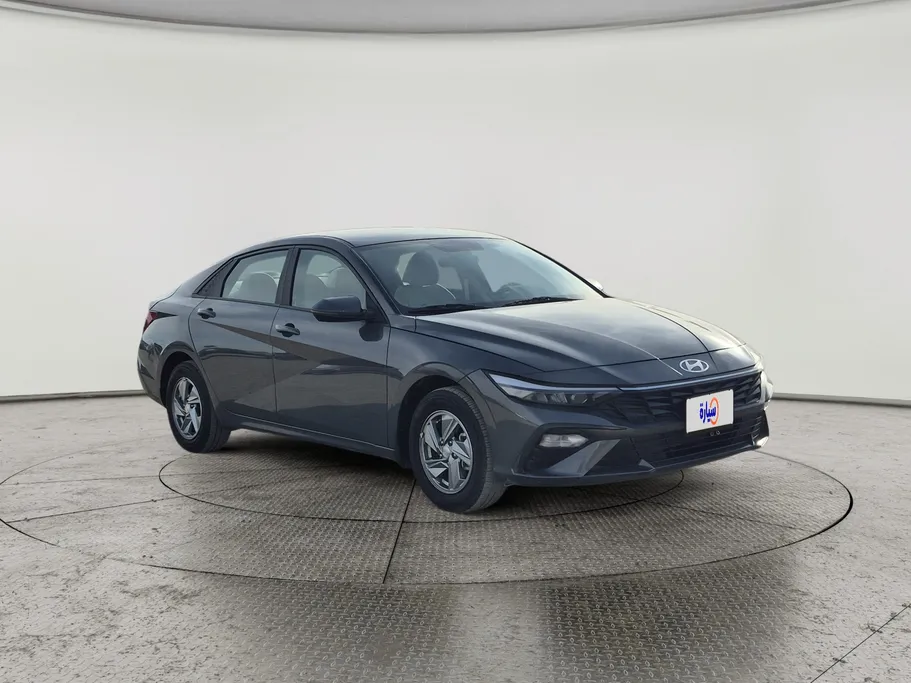 2024 Hyundai Elantra Fleet 