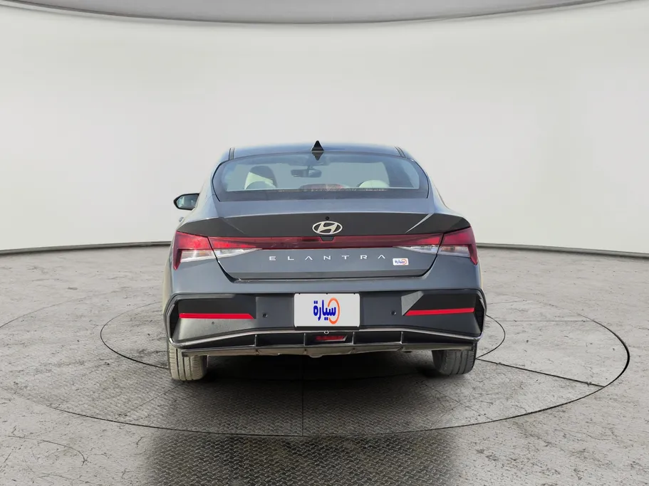 2024 Hyundai Elantra Fleet 