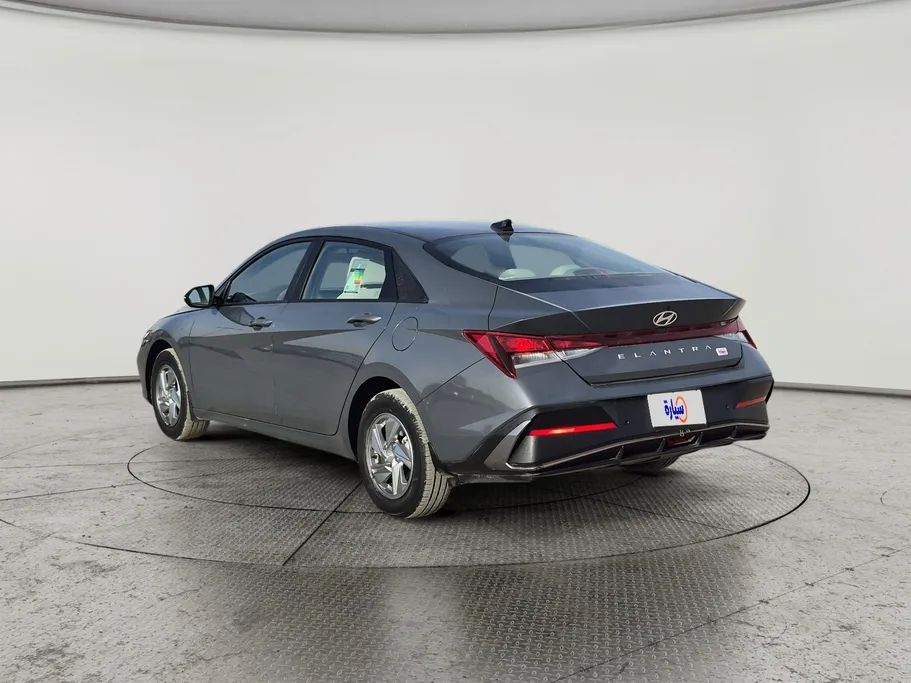 2024 Hyundai Elantra Fleet 