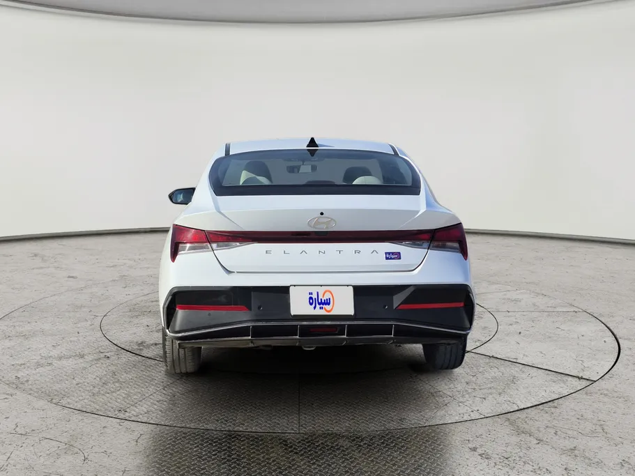 2024 Hyundai Elantra Fleet 