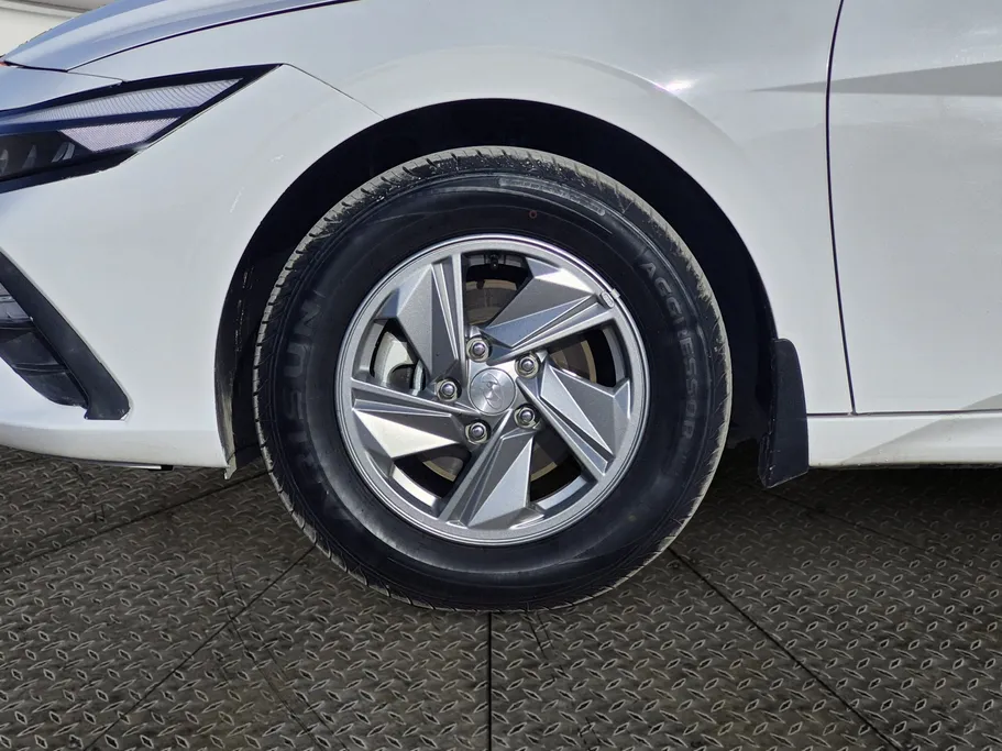 2024 Hyundai Elantra Fleet 