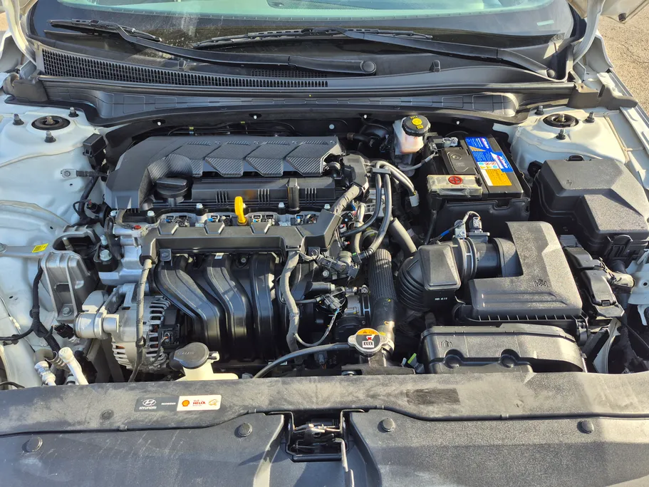 2024 Hyundai Elantra Fleet 