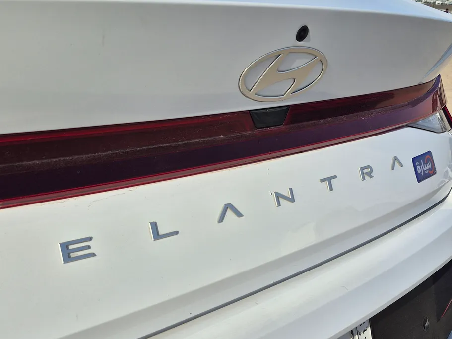 2024 Hyundai Elantra Fleet 