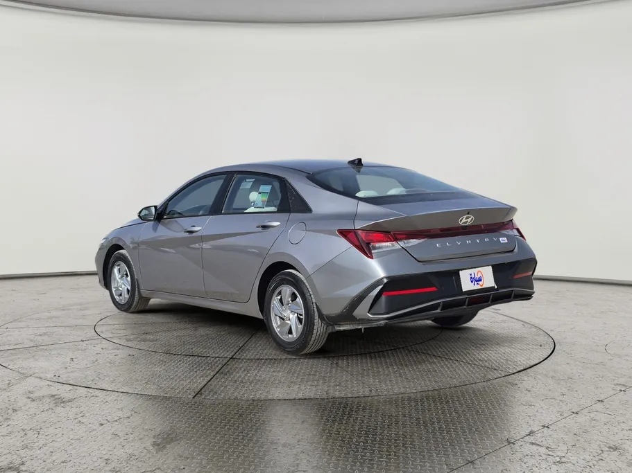 2024 Hyundai Elantra Fleet 