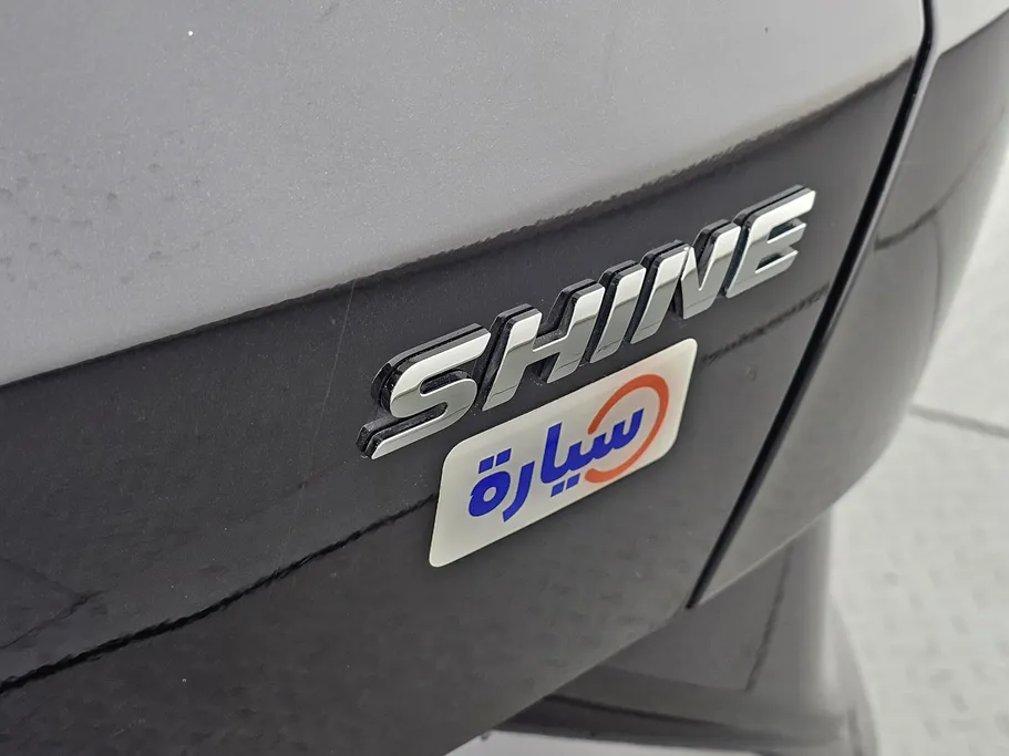 دونج فينج شاين E1 2025 