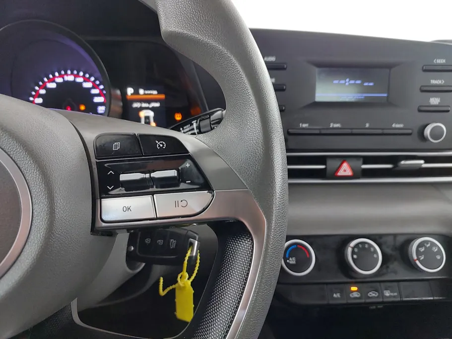 2022 Hyundai Elantra Fleet 