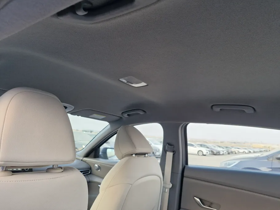 هيونداي النترا فلييت 2024 