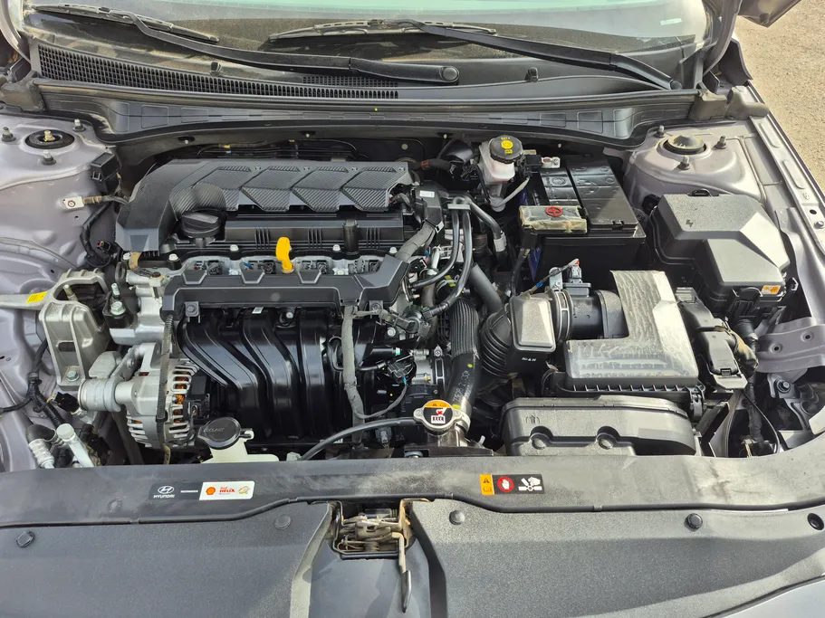 2024 Hyundai Elantra Fleet 