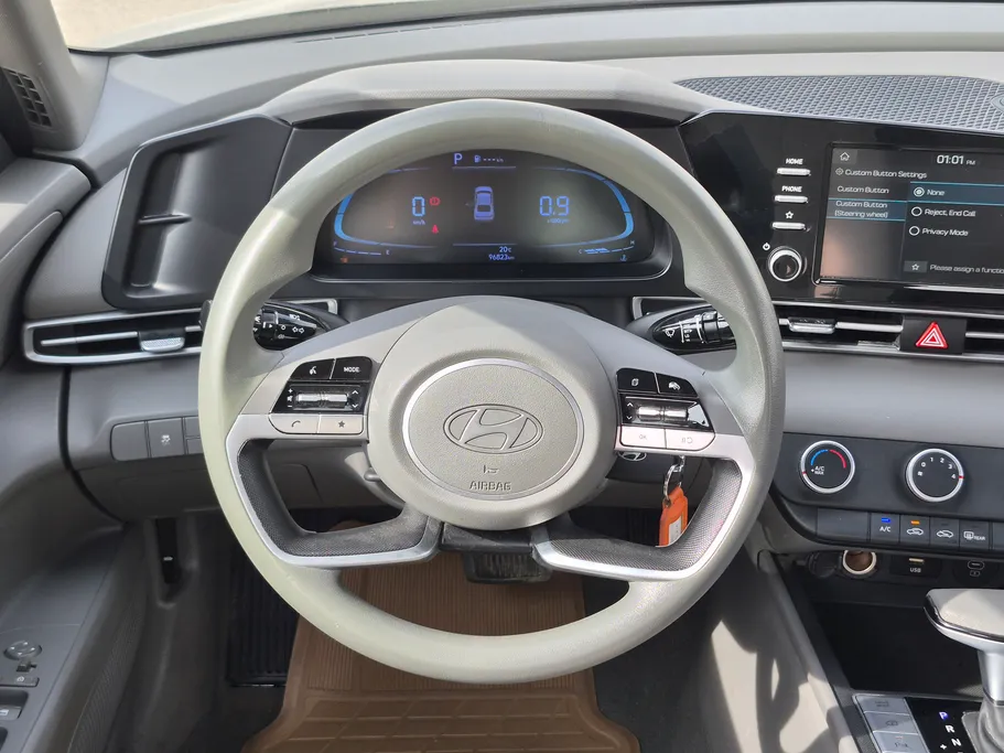 2024 Hyundai Elantra Fleet 