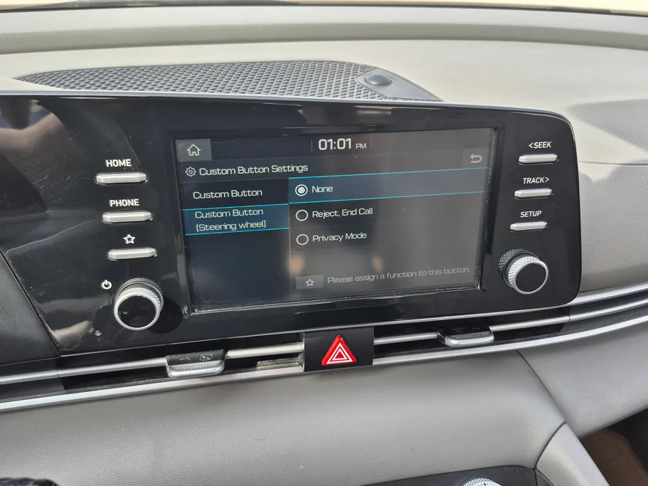 2024 Hyundai Elantra Fleet 