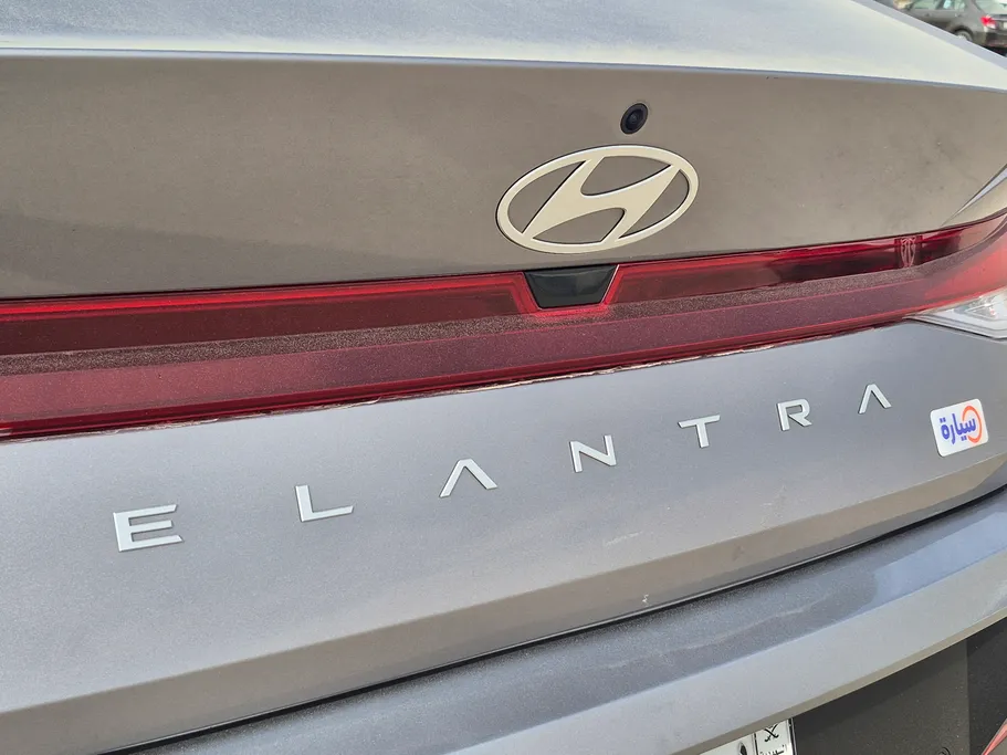 2024 Hyundai Elantra Fleet 